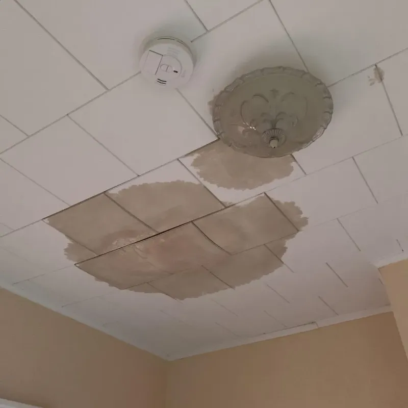 Ceiling Water Damage Repair in Many Farms, AZ